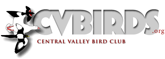 central valley bird club